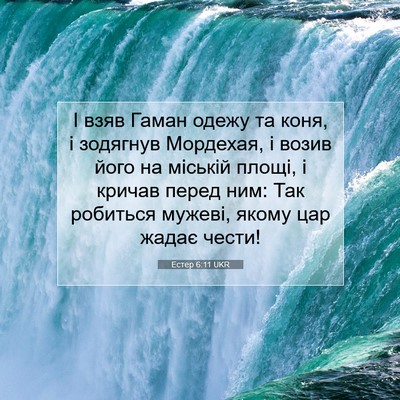 Picture 07 - Естер 6:11 UKR - І взяв Гаман одежу та коня, - Bible Verse Picture