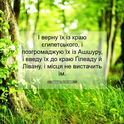 Picture 07 - Захарія 10:10 UKR - І верну їх із краю - Bible Verse Picture