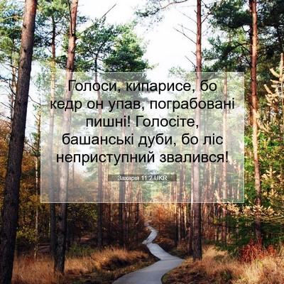 Picture 07 - Захарія 11:2 UKR - Голоси, кипарисе, бо кедр - Bible Verse Picture