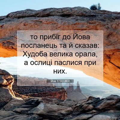 Picture 07 - Йов 1:14 UKR - то прибіг до Йова - Bible Verse Picture