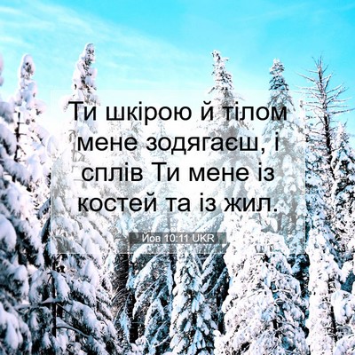 Picture 07 - Йов 10:11 UKR - Ти шкірою й тілом мене - Bible Verse Picture