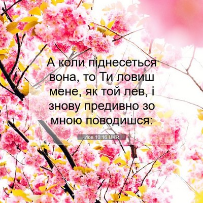 Picture 07 - Йов 10:16 UKR - А коли піднесеться вона, то - Bible Verse Picture