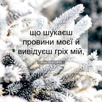 Picture 07 - Йов 10:6 UKR - що шукаєш провини моєї й - Bible Verse Picture