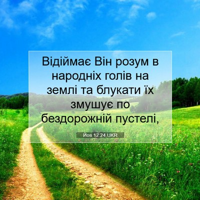 Picture 07 - Йов 12:24 UKR - Відіймає Він розум в - Bible Verse Picture