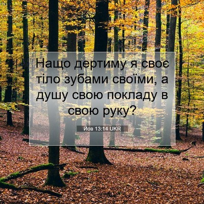 Picture 07 - Йов 13:14 UKR - Нащо дертиму я своє тіло - Bible Verse Picture