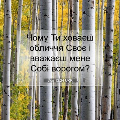 Picture 07 - Йов 13:24 UKR - Чому Ти ховаєш обличчя - Bible Verse Picture