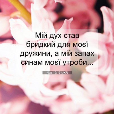 Picture 07 - Йов 19:17 UKR - Мій дух став бридкий для - Bible Verse Picture