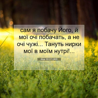 Picture 07 - Йов 19:27 UKR - сам я побачу Його, й мої очі - Bible Verse Picture