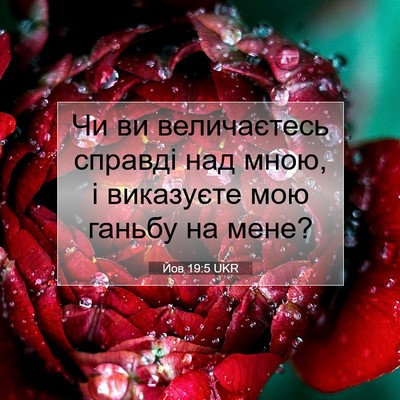 Picture 07 - Йов 19:5 UKR - Чи ви величаєтесь справді - Bible Verse Picture