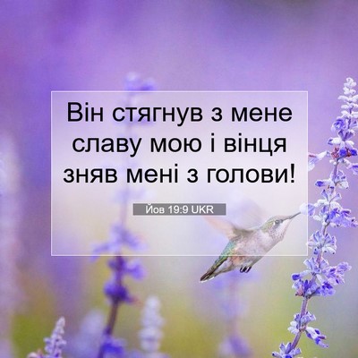 Picture 07 - Йов 19:9 UKR - Він стягнув з мене славу - Bible Verse Picture