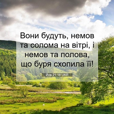 Picture 07 - Йов 21:18 UKR - Вони будуть, немов та - Bible Verse Picture