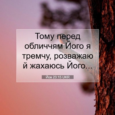 Picture 07 - Йов 23:15 UKR - Тому перед обличчям Його я - Bible Verse Picture