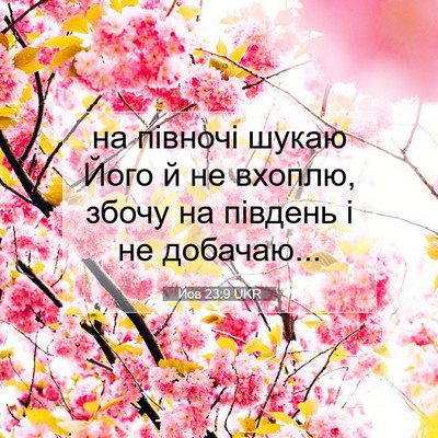 Picture 07 - Йов 23:9 UKR - на півночі шукаю Його й не - Bible Verse Picture