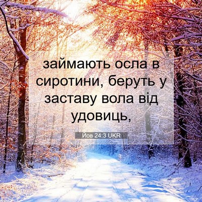 Picture 07 - Йов 24:3 UKR - займають осла в сиротини, - Bible Verse Picture