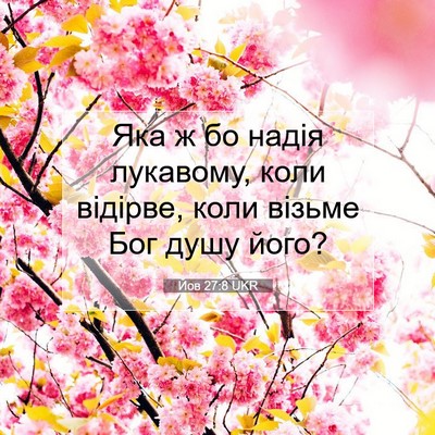 Picture 07 - Йов 27:8 UKR - Яка ж бо надія лукавому, - Bible Verse Picture