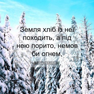 Picture 07 - Йов 28:5 UKR - Земля хліб із неї походить, - Bible Verse Picture