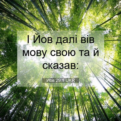 Picture 07 - Йов 29:1 UKR - І Йов далі вів мову свою та - Bible Verse Picture