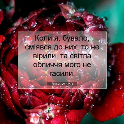Picture 07 - Йов 29:24 UKR - Коли я, бувало, сміявся до - Bible Verse Picture