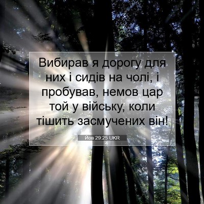Picture 07 - Йов 29:25 UKR - Вибирав я дорогу для них і - Bible Verse Picture