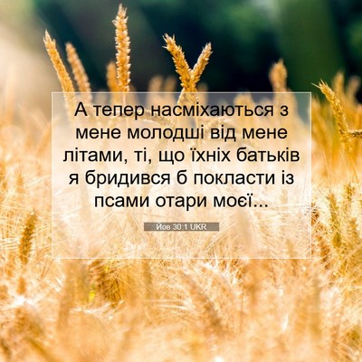 Picture 07 - Йов 30:1 UKR - А тепер насміхаються з - Bible Verse Picture
