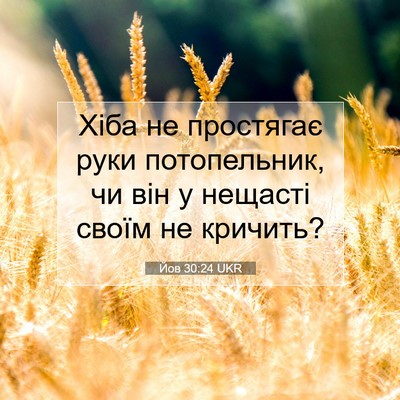 Picture 07 - Йов 30:24 UKR - Хіба не простягає руки - Bible Verse Picture