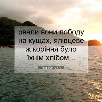Picture 07 - Йов 30:4 UKR - рвали вони лободу на кущах, - Bible Verse Picture