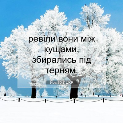 Picture 07 - Йов 30:7 UKR - ревіли вони між кущами, - Bible Verse Picture