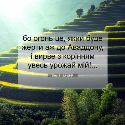 Picture 07 - Йов 31:12 UKR - бо огонь це, який буде - Bible Verse Picture