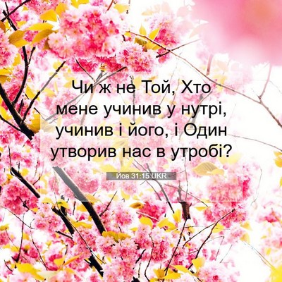 Picture 07 - Йов 31:15 UKR - Чи ж не Той, Хто мене учинив - Bible Verse Picture