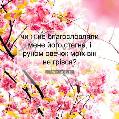 Picture 07 - Йов 31:20 UKR - чи ж не благословляли мене - Bible Verse Picture