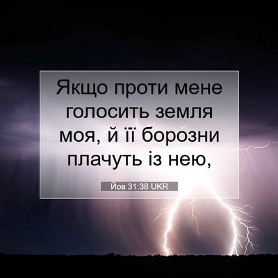 Picture 07 - Йов 31:38 UKR - Якщо проти мене голосить - Bible Verse Picture