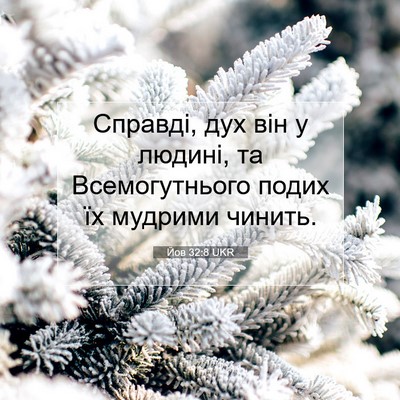 Picture 07 - Йов 32:8 UKR - Справді, дух він у людині, - Bible Verse Picture