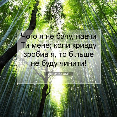 Picture 07 - Йов 34:32 UKR - Чого я не бачу, навчи Ти - Bible Verse Picture