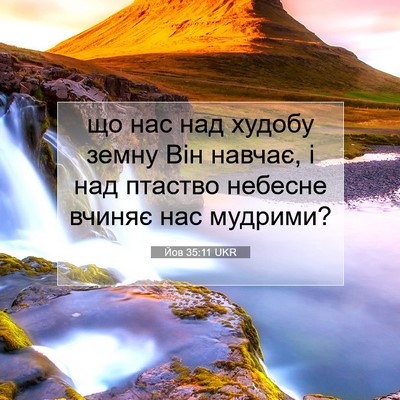 Picture 07 - Йов 35:11 UKR - що нас над худобу земну Він - Bible Verse Picture