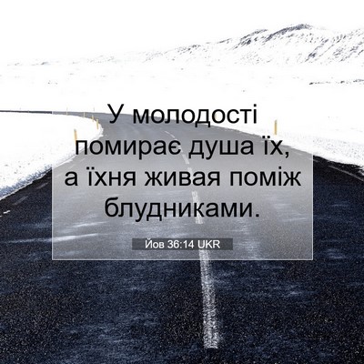 Picture 07 - Йов 36:14 UKR - У молодості помирає душа - Bible Verse Picture