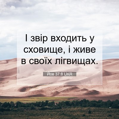 Picture 07 - Йов 37:8 UKR - І звір входить у сховище, і - Bible Verse Picture