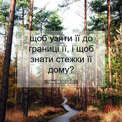 Picture 07 - Йов 38:20 UKR - щоб узяти її до границі її, - Bible Verse Picture
