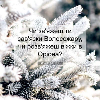 Picture 07 - Йов 38:31 UKR - Чи зв'яжеш ти зав'язки - Bible Verse Picture