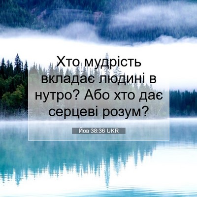 Picture 07 - Йов 38:36 UKR - Хто мудрість вкладає - Bible Verse Picture