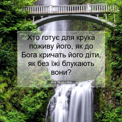 Picture 07 - Йов 38:41 UKR - Хто готує для крука поживу - Bible Verse Picture