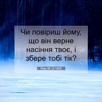 Picture 07 - Йов 39:12 UKR - Чи повіриш йому, що він - Bible Verse Picture
