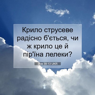 Picture 07 - Йов 39:13 UKR - Крило струсеве радісно - Bible Verse Picture