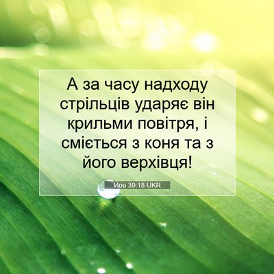 Picture 07 - Йов 39:18 UKR - А за часу надходу - Bible Verse Picture