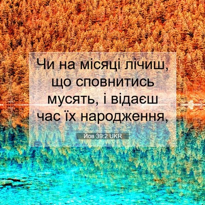 Picture 07 - Йов 39:2 UKR - Чи на місяці лічиш, що - Bible Verse Picture