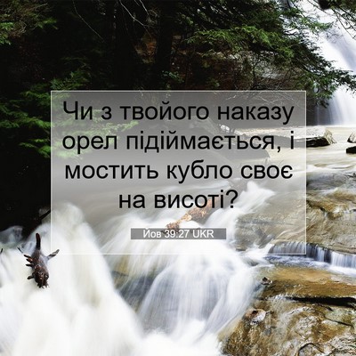 Picture 07 - Йов 39:27 UKR - Чи з твойого наказу орел - Bible Verse Picture