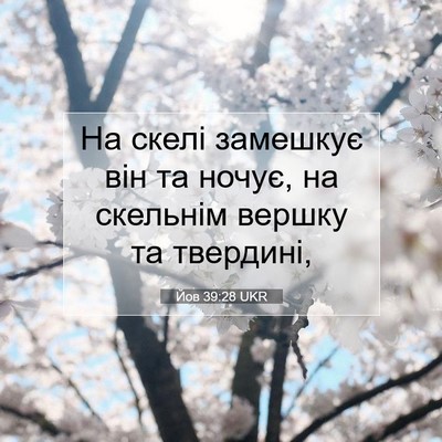Picture 07 - Йов 39:28 UKR - На скелі замешкує він та - Bible Verse Picture