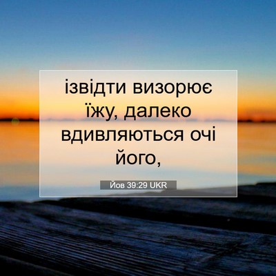 Picture 07 - Йов 39:29 UKR - ізвідти визорює їжу, - Bible Verse Picture