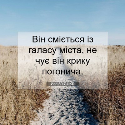 Picture 07 - Йов 39:7 UKR - Він сміється із галасу - Bible Verse Picture