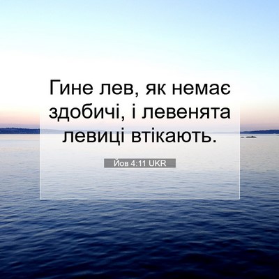 Picture 07 - Йов 4:11 UKR - Гине лев, як немає здобичі, - Bible Verse Picture