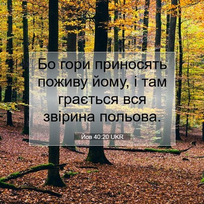 Picture 07 - Йов 40:20 UKR - Бо гори приносять поживу - Bible Verse Picture